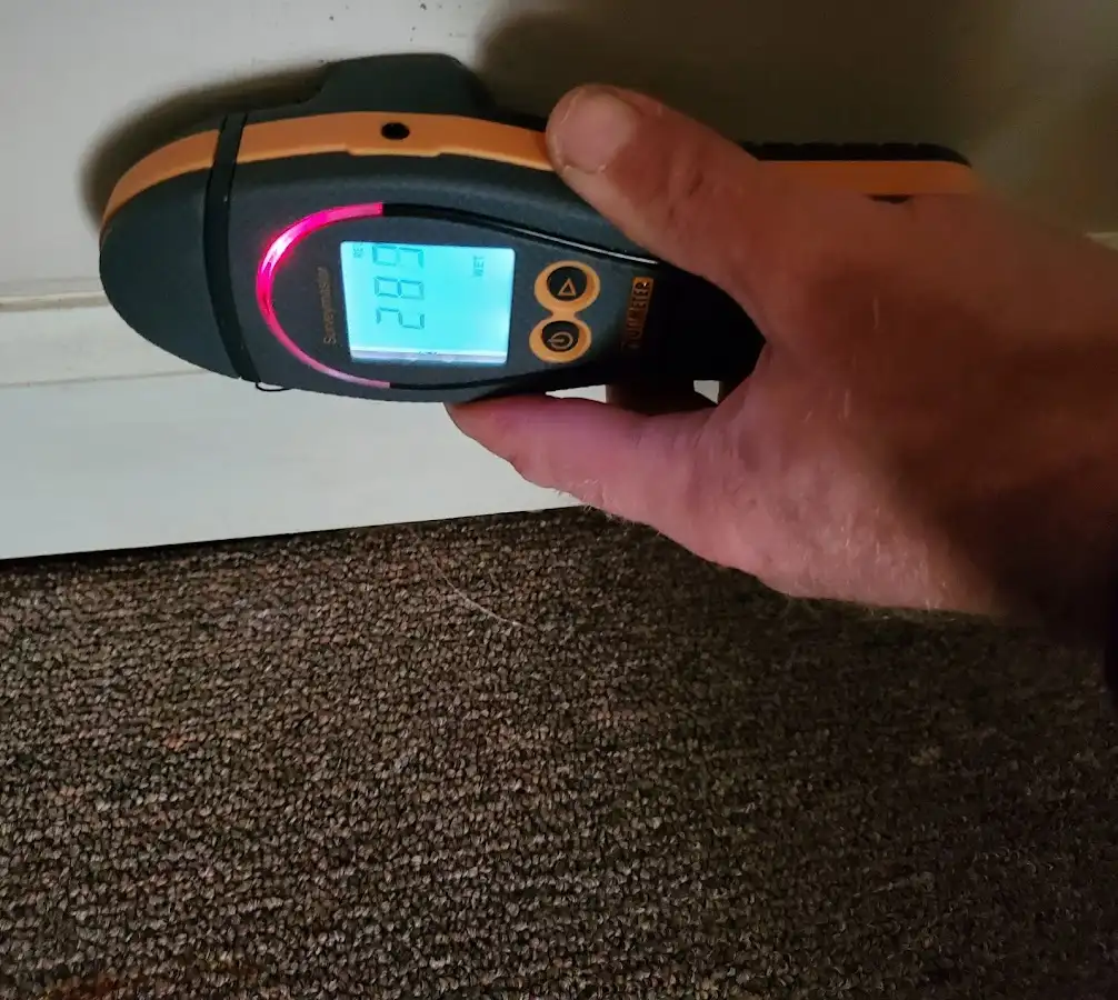 Moisture detection at baseboard during Sewage Cleanup & Sanitation in Inverness